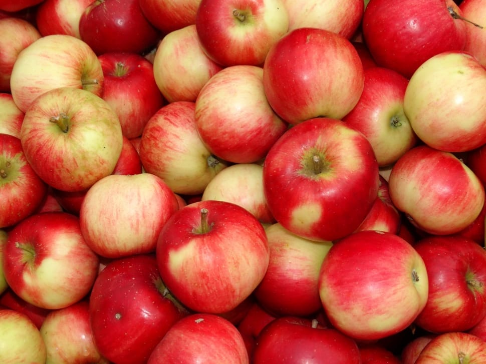 Event: TMHS Applefest 10/28