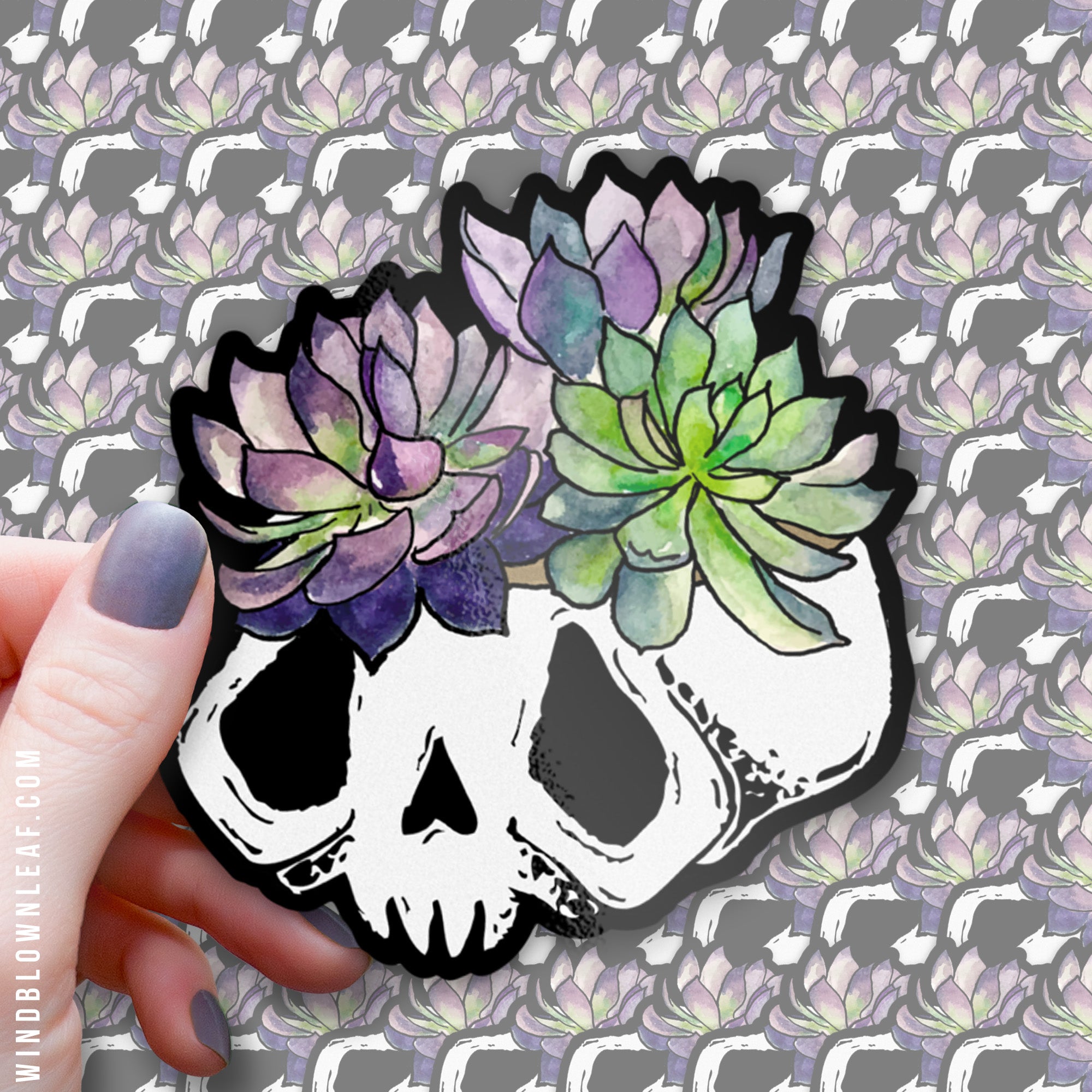 succulent skull Succulent Skully